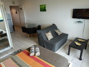 sala de estar con sofá y mesa en Entre Mer et Montagne, appartement climatisé, vue mer, WIFI en Sainte-Marie
