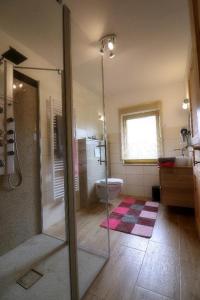 a bathroom with a glass shower and a toilet at Kieslinger Hilde in Arrach