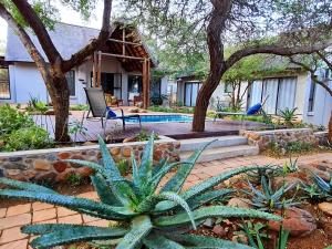 a backyard with a pool and some plants at Switsongo Boutique B&B in Hoedspruit