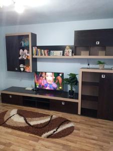 un soggiorno con TV a schermo piatto su un tavolo di apartament Ramnicu Valcea a Râmnicu Vâlcea