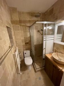 奧托佩尼的住宿－Hotel Casa Romaneasca，浴室配有卫生间、淋浴和盥洗盆。