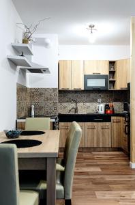 Kuchyň nebo kuchyňský kout v ubytování Apartament Boryna