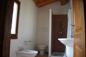 een badkamer met een wastafel, een toilet en een douche bij Stazzo Gallurese La Cugara in Aglientu +45 foto's