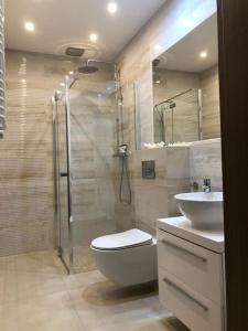 a bathroom with a shower and a toilet and a sink at Dom Natura in Grzybowo +22 photos