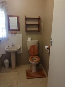een badkamer met een toilet en een wastafel bij Blood River Museum Guesthouse in Dundee
