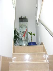B&B Angolo Felice في ماتيرا: فيش احمر في صندوق زجاجي على الدرج