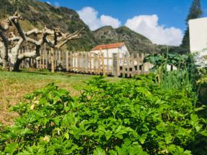 a garden with a wooden fence and mountains in the background at Alo Baía São Lourenço in Santa Bárbara