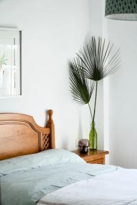 - une chambre avec un lit et une plante dans un vase dans l'établissement Lugar Feliz- Playas Los Caños de Meca, à Los Caños de Meca