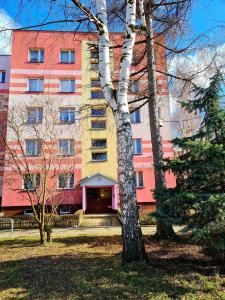 a building with a tree in front of it at Apartament Nad wierzbami in Piechowice