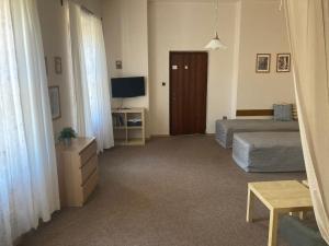 TV a/nebo společenská místnost v ubytování Penzion a restaurace Modrá růže Tábor