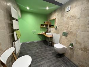 La salle de bains verte est pourvue de toilettes et d'un lavabo. dans l'établissement Le Domaine du Verger, Chambres d'Hotes, à Osenbach