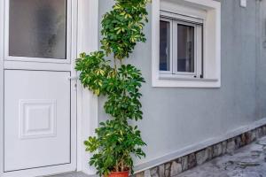 Fotografia z galérie ubytovania Klaidis house v destinácii Skiathos Town