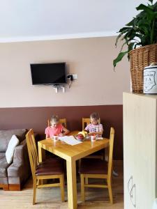 TV a/nebo společenská místnost v ubytování Polskie Apartamenty FH Velky Meder + 17 fotografií