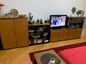 Μια τηλεόραση ή/και κέντρο ψυχαγωγίας στο Medena