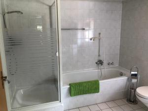 ein Badezimmer mit einer Dusche, einer Badewanne und einem WC in der Unterkunft Ferienwohnung am Rohrbacherhof Sabine Rück in Barackenhöfe + 23 Fotos
