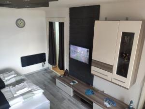 a living room with a bed and a tv at Silver Apartman in Harkány