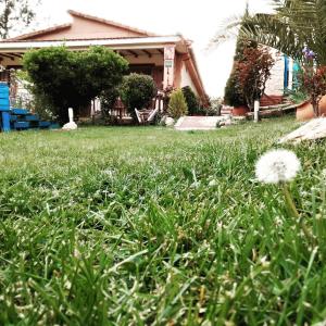 a dandelion in the grass in front of a house at Casa Rural El Arroyo in Sotoserrano