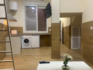 a kitchen with a washer and dryer in a room at APARTAMENTOS HÉRCULES SEVILLa in Seville