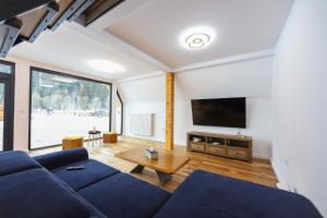 ein Wohnzimmer mit einem blauen Sofa und einem TV in der Unterkunft Cozy Cabin A Frame in Topliţa