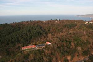 Príroda v okolí hostela