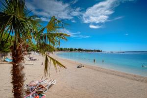 a beach with a palm tree and people in the water at Mintos Luxury Resort in Podstrana