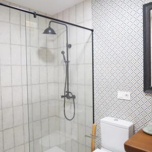 a shower in a bathroom with a toilet at Casa Leonor de Aurora in Zas
