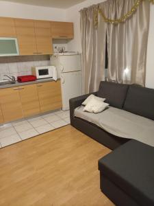 Apartman Skradin في سكرادين: غرفة معيشة مع أريكة ومطبخ