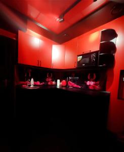 Kuchyň nebo kuchyňský kout v ubytování "DREAM ROOM" Тематические апартаменты Харьков! Цоколь!