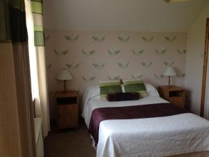 1 dormitorio con 1 cama y 2 mesitas de noche con lámparas en The Well Bed & Breakfast en Clonakilty