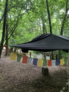 czarna brezent na sznurku w lesie w obiekcie River Tribe Experience Camp w mieście Laino Borgo