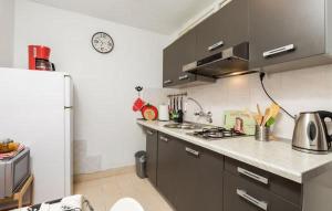 Kuchyňa alebo kuchynka v ubytovaní Apartment Rojal