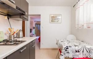 Kuchyňa alebo kuchynka v ubytovaní Apartment Rojal