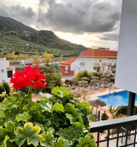 Widok na góry z tego hotelu