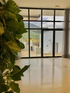 a room with a large window and a plant at Hotel Mencia Subbética in Doña Mencía