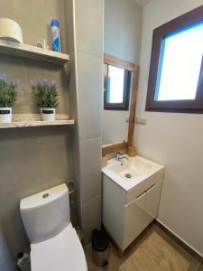 een badkamer met een wit toilet en een wastafel bij Ferienhaus Dana in Steinhaus am Semmering