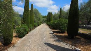 a tree lined path in a garden with trees at domaine des tilleuls d'or in Saint-Cézaire-sur-Siagne