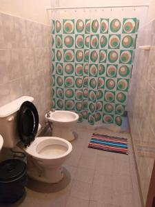 a bathroom with a toilet and a green shower curtain at Amancay in Payogasta
