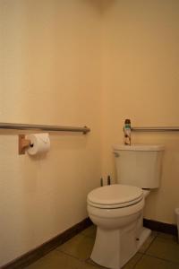 a bathroom with a toilet and a roll of toilet paper at Bison Trail Chateau Livingston, Montana in Livingston