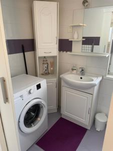 uma pequena casa de banho com uma máquina de lavar roupa e um lavatório em Cute Spot in Ljubljana em Ljubljana