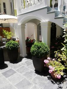 een patio met verschillende potplanten en een trap bij Belle Epoque Hostal in Viña del Mar