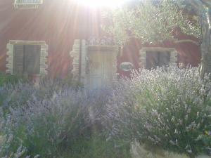 Zahrada ubytování B&B Fonte Cugno
