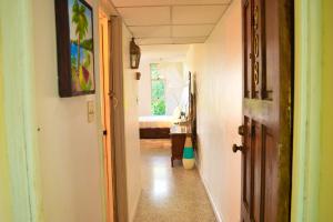 Fotografie z fotogalerie ubytování Montego Bay Club Beach Resort v destinaci Montego Bay