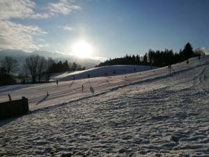 Chalet in Bad Mitterndorf near Ski Bus v zimě