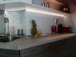 Kuchyňa alebo kuchynka v ubytovaní Krynica Morska Apartament Przy Plaży