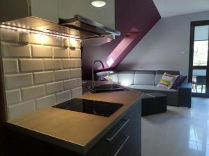 een keuken met een wastafel en een bank in een kamer bij Krynica Morska Apartament Przy Plaży in Krynica Morska