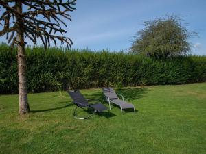 deux chaises assises dans l'herbe à côté d'un arbre dans l'établissement Beautiful and spacious holiday home with p tanque court and countryside views, à Somme-Leuze