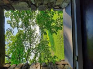 una ventana abierta con vistas a un árbol en Very spacious house with sauna spa and countryside views en Gouvy