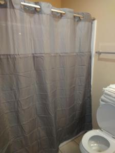 a bathroom with a shower curtain and a toilet at Anglers Hideaway Cabins Extended Stay in Mead