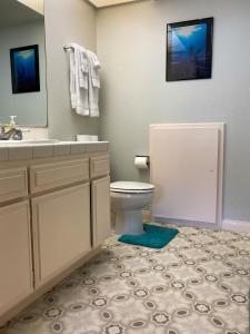 a bathroom with a toilet and a sink and a mirror at Catalina's Got Cart Condo in Avalon