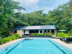 une villa avec une piscine en face d'une maison dans l'établissement Blackwood Nature Villa with Pool and Trail, à Tanay